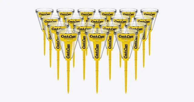 18 Catch Cups on their yellow spikes, standing in four staggered rows on a light grey studio ground.