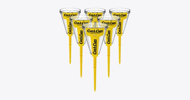 6 Catch Cups on their yellow spikes, standing in a triangle of three rows on a light grey studio ground.